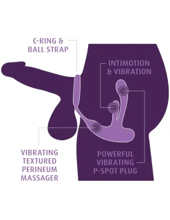 Anal Fantasy - Ass-Gasm IntiMotion - Noir