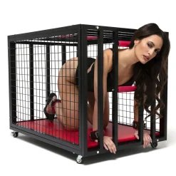 BDSM Cage