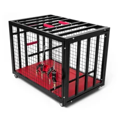 BDSM Cage