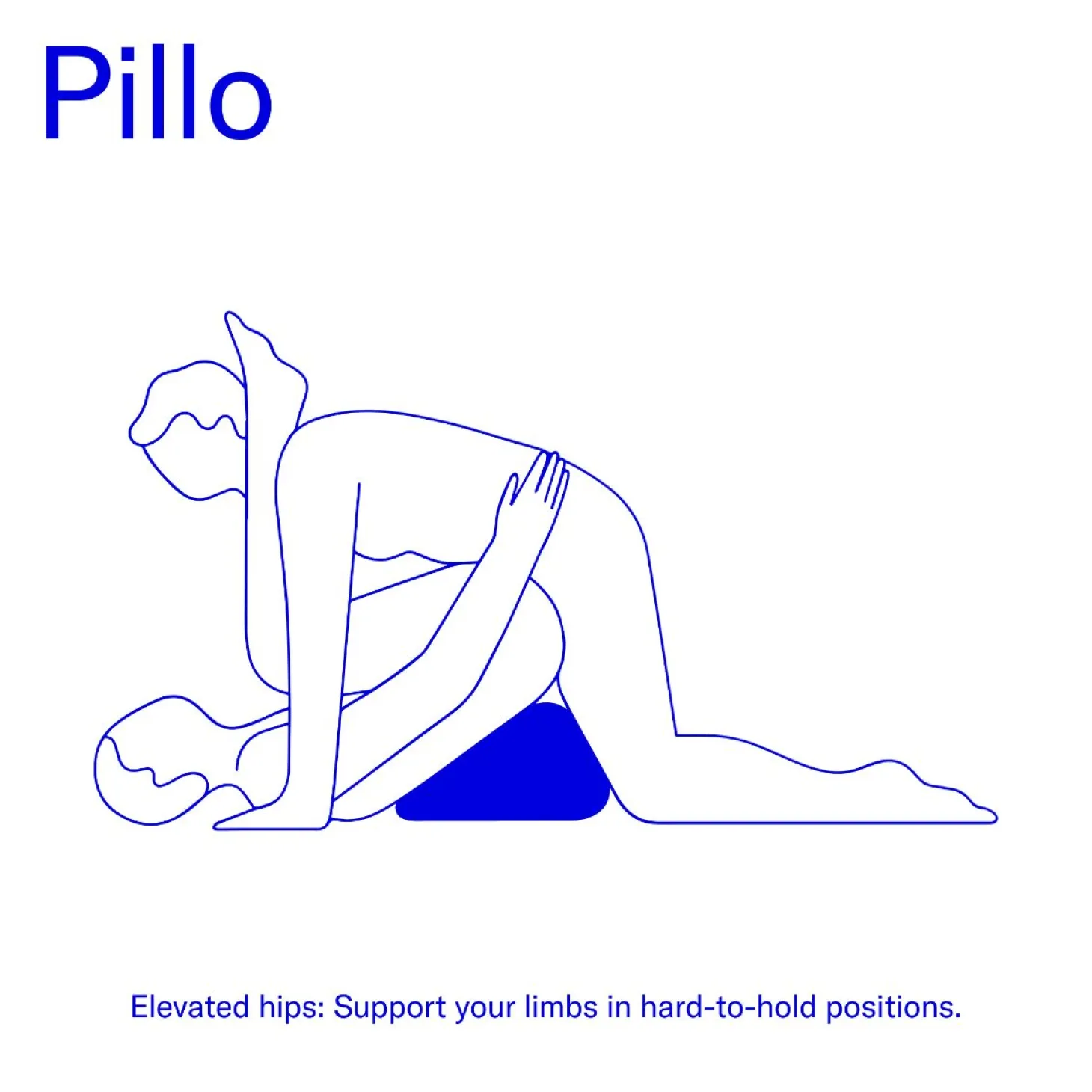 Dame - Coussin de Sexe Pillo - Indigo