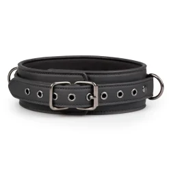Easytoys Fetish - Collier fétichiste avec laisse - Noir
