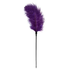 Easytoys Fetish - Fouet à plumes violet