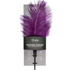 Easytoys Fetish - Fouet à plumes violet