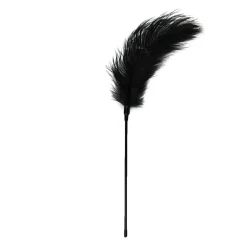 Easytoys Fetish - Fouet à plumes noir