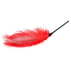 Easytoys Fetish - Fouet à plumes rouge