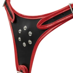 Easytoys Fetish - Triple Dildo Strap-On Harness