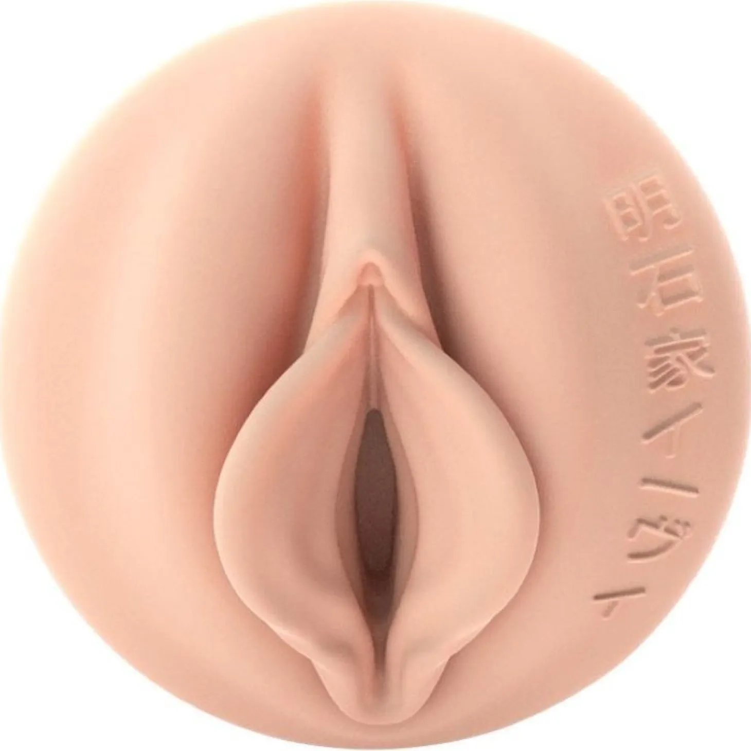 Fleshlight Fantasy - Evie Akashiya Sho Akuma Signature Vagina
