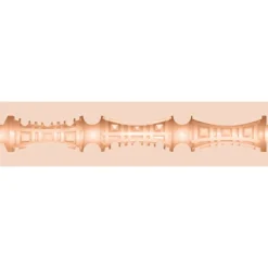 Fleshlight Masturbateur Riley Reid Forbidden Beige