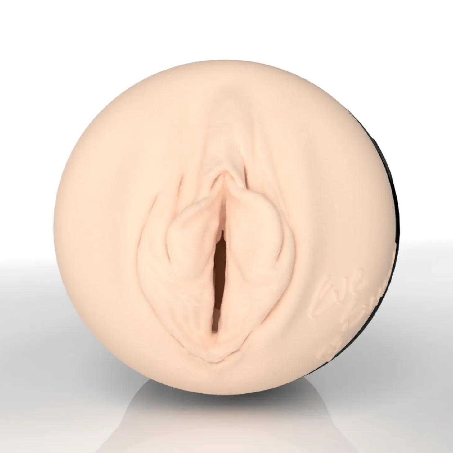 Fleshlight X Hentaied - Eve Sweet