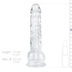 Gode en Gelée avec Testicules - 15 cm