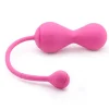 Magic Motion - Boules de geisha connectées Smart Kegel Master roses