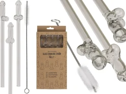 Paille en Verre en Forme de Pénis avec Brosse de Nettoyage Willy - 4 pièces