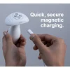 Paradise Pleasure Products - Illumination The Plug - Blanc