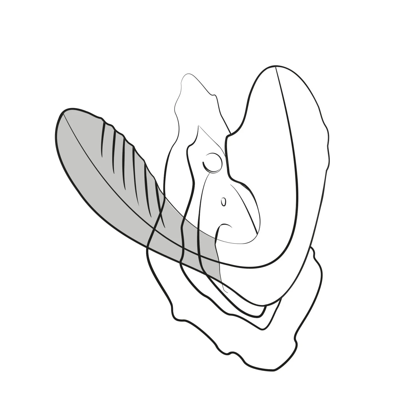 ROMP by Womanizer - Reverb Double Plaisir 2 en 1