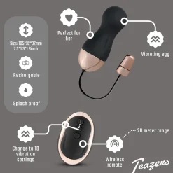 Teazers - Œuf vibrant avec télécommande - Noir