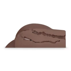 Trinity Rose Masturbateur réaliste