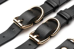 XR Brands - Harnais de Cuisse Tentatrice - Noir